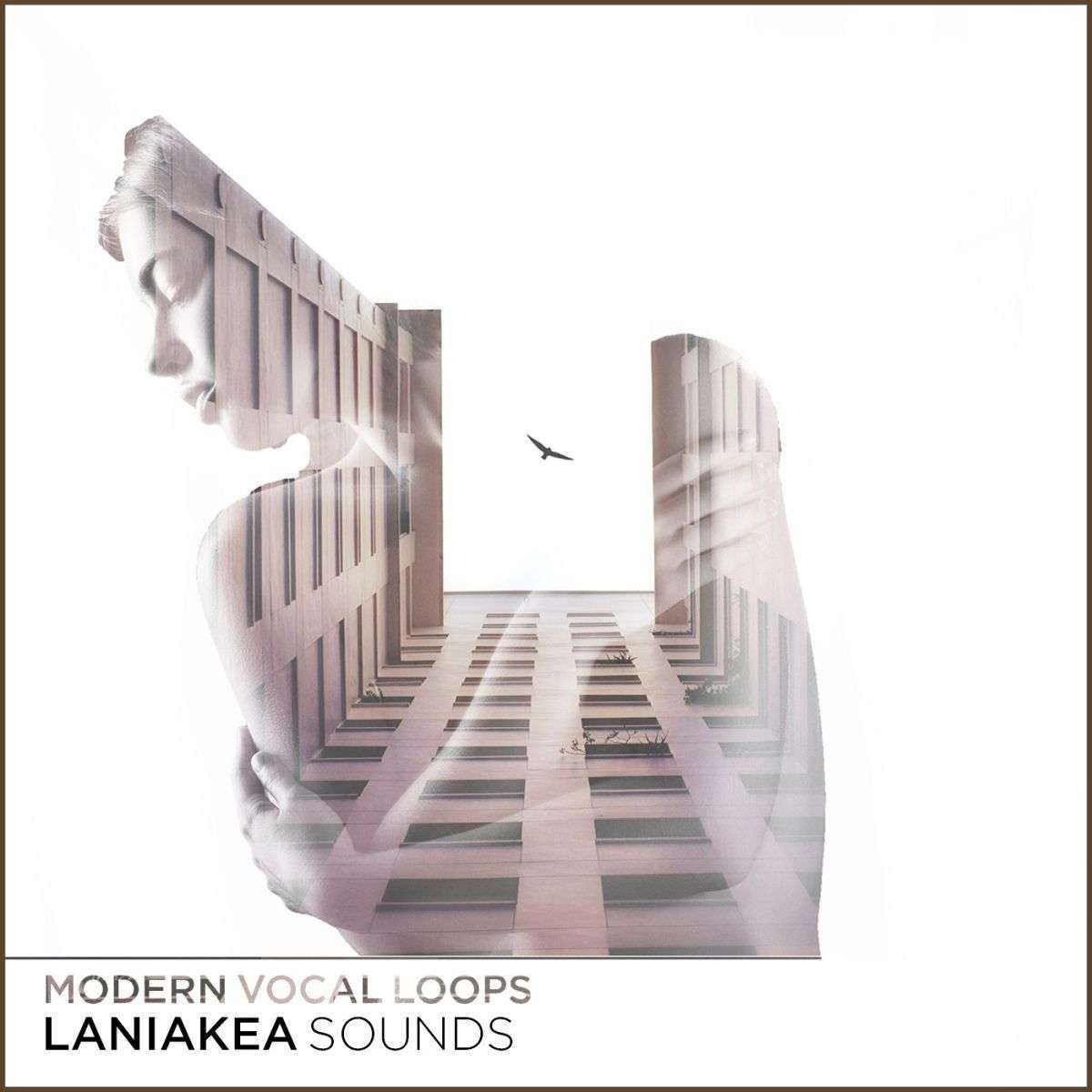 Laniakea Sounds - Modern Vocal Loops Sample Packs Software GUI Artwork